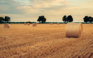 Nordic Hedge Funds End Summer on a Strong Note