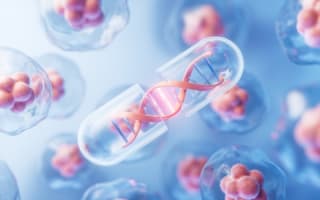 Schrödinger forms I&I-focused newco with NEA, RA Capital - FirstWord
PHARMA