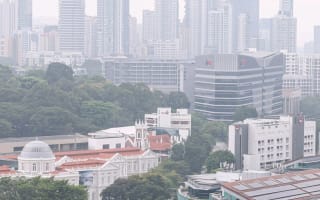 Who owns the 10 Singapore firms targeted by the haze law? - The
Straits Times