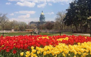 Colorado pension rebalances, opts for new manager relationships
