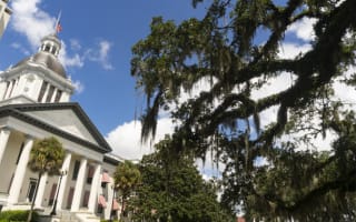 Florida SBA sweeps $4.2bn into alternatives
