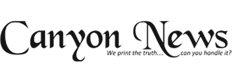 Bitcoin ETFs Strengthen Crypto’s Role In Institutional Portfolios -
Canyon News Beverly Hills