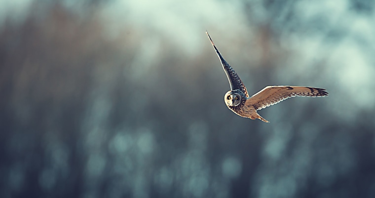 Blue Owl reaches $10.6bn for latest GP stakes fund