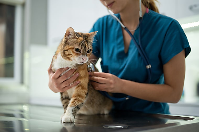 Charterhouse agrees Animalcare take-private as vet pharma sector sees
high pet ownership but increasing scrutiny; Eurazeo targets
Mittelstand with Munich office