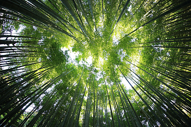 EQT secures $4.4bn sustainability-linked loan