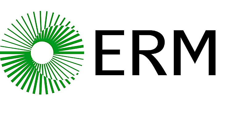 ESG focus shifts from risk to value creation - ERM