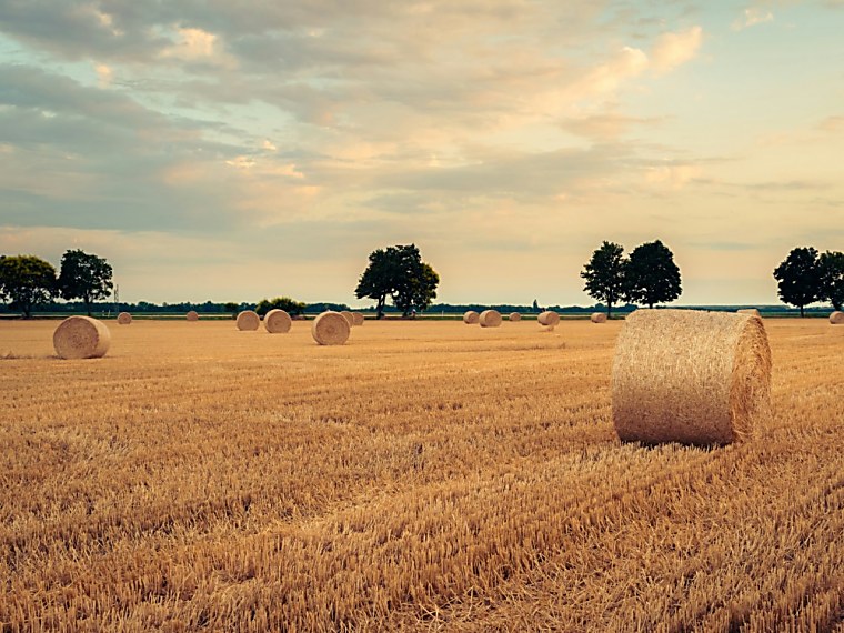 From Beef to Bitcoin: August’s Wild CTA Ride