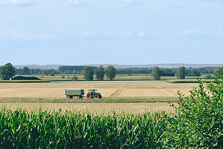 Homestead Capital launches first agri credit fund with $150m pension
anchor