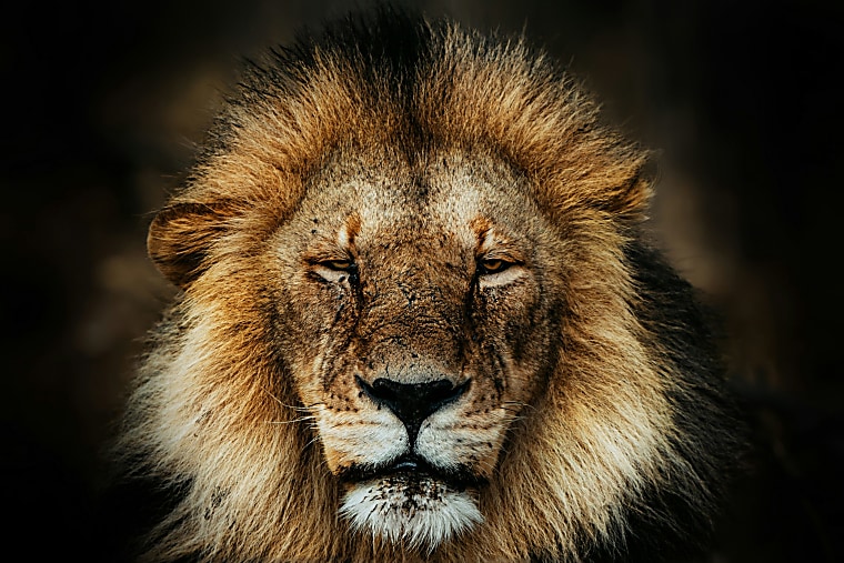 Lion Real Estate Group finalises Marble Partners Fund I