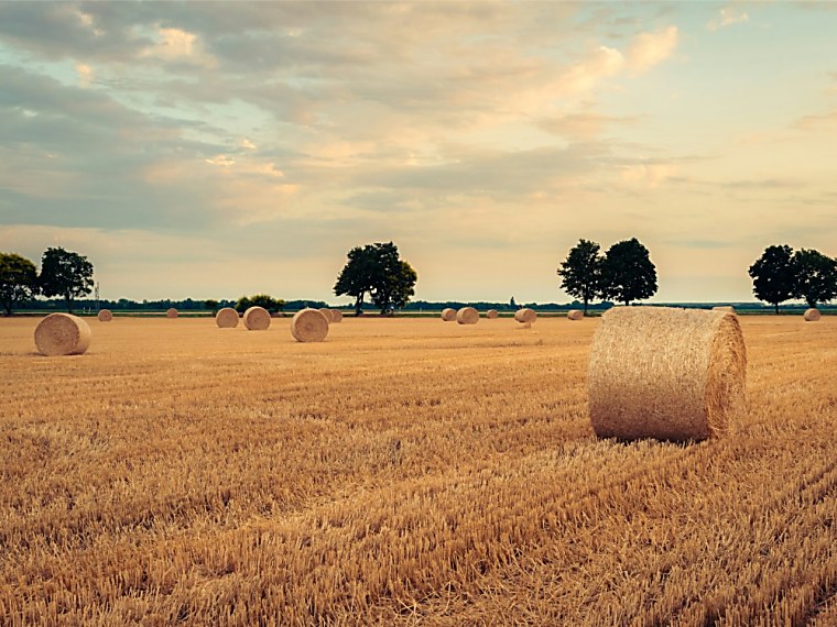 Nordic Hedge Funds End Summer on a Strong Note