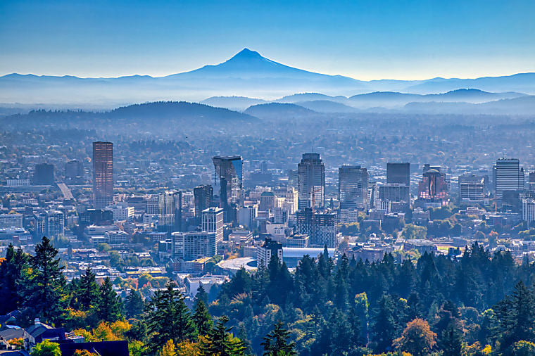 Oregon State Treasury considers trimming RE allocation