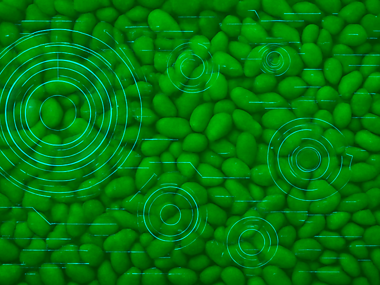 Paine Schwartz Uncovers Link Between Agri-Business and PE Investment
Model - globalaginvesting.com
