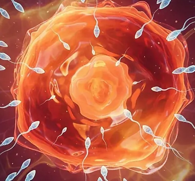 Bessemer Venture Partners leads Rs 125 Cr Series A funding in
fertility startup Pluro - biospectrumindia.com