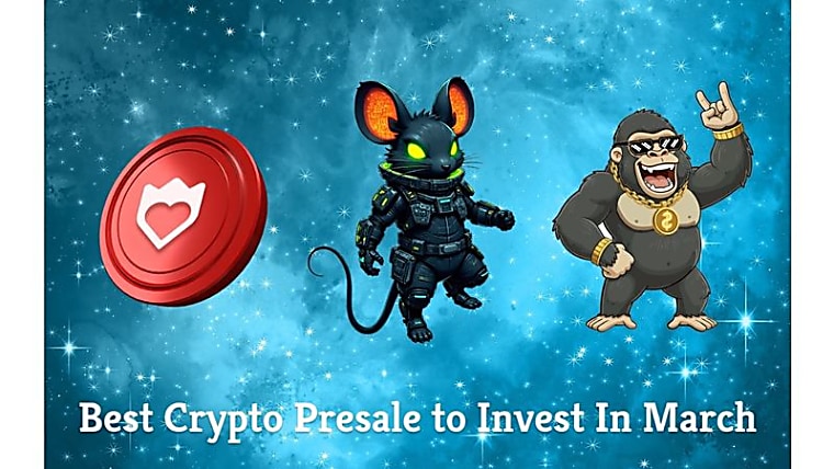 Best Crypto Presales To Invest in March Include SUBBD and APRZ, but
DeepSnitch AI Is Number 1 Pick With Explosive 400x Potential -
TheWire.in