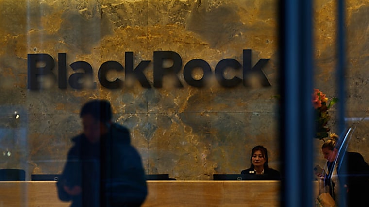 BlackRock advises investors to put more money into hedge funds -
Financial Times