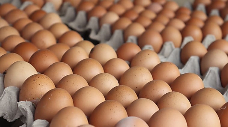 Brazil’s Global Eggs gets US$1 billion investment from Warburg
Pincus - Latin Lawyer