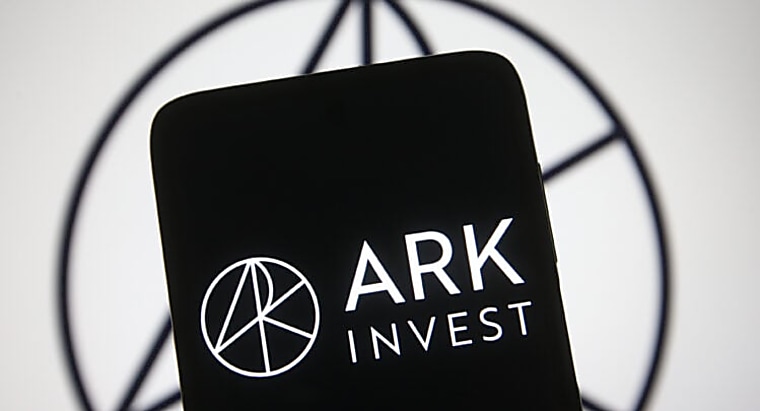 Cathie Wood Defies the $1 Trillion Crypto Wipeout with a $50 Million
Buying Spree. Here’s What ARK Invest Bought - TipRanks