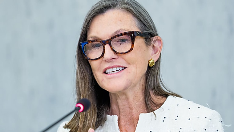 Cathie Wood just made her biggest stock purchase of 2026 -
thestreet.com