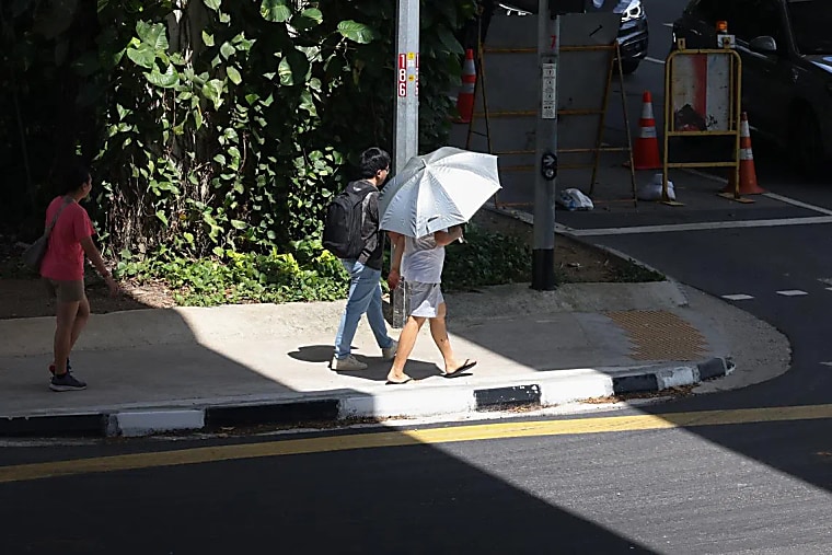 Dry, warmer weather may lead to haze risk in coming week: NEA - The
Straits Times