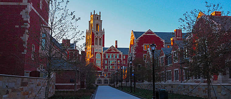 HarbourVest, Blackstone, Pantheon to buy in Yale’s PE portfolio sale
- Secondaries Investor