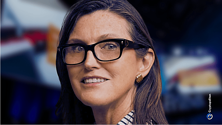 How Cathie Wood uses prediction markets to profit from panic -
Cryptopolitan