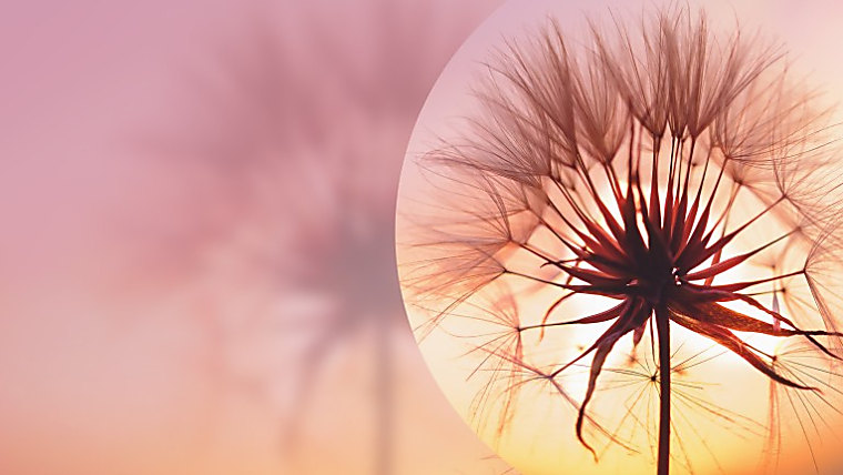 Integrating ESG into a flagship US equity benchmark: The Russell 1000
Blossom indexes - LSEG