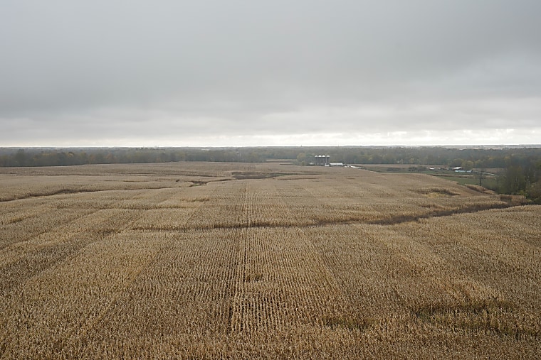Investment funds stocking up on US farmland in safe-haven bet -
Reuters