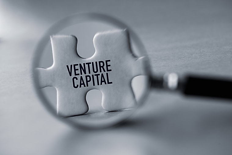 Management - The future of venture capital - Business Reporter
