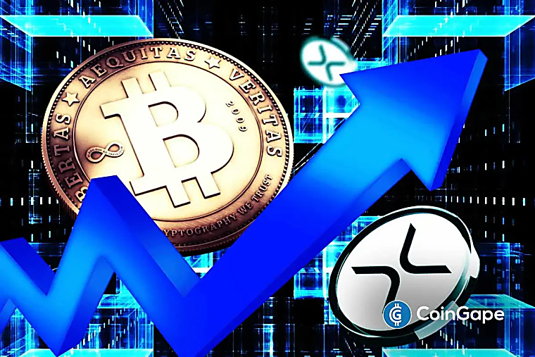Mike Novogratz Says Ripple Is Now an Institution, The XRP Army Is
Real. Here’s why - Exchange Bitget