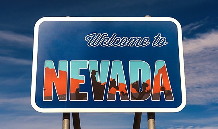 Nevada pension looks to slash private equity allocation - Buyouts