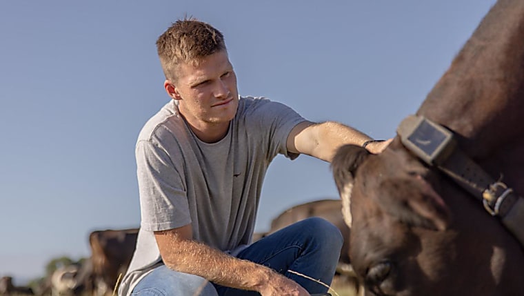 NZ-born, US firm Halter hits US$2b valuation on Peter Thiel-led
funding round - ThePost.co.nz