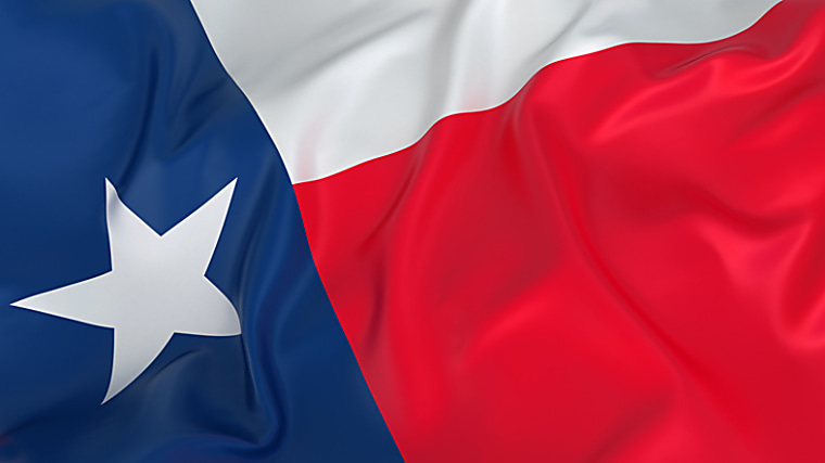 Optimistic on PE after careful pacing, Texas endowment eyes higher
targets - Buyouts