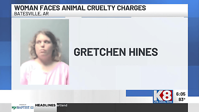 Police: Woman blamed ‘PTSD moment’ for attacking dog with hatchet
- K8 News | Jonesboro, Arkansas