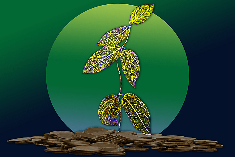 Rethinking Risk: Why Pension Funds Are Betting on Alternative Assets -
Harvard Business School