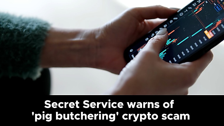 Secret Service warns of ‘pig butchering’ crypto scam - KOLN |
Nebraska Local News, Weather, Sports | Lincoln, NE