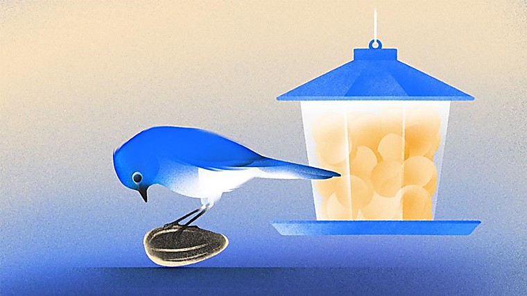 Seed Funding Hasn't Stalled, But It's Skewing Larger And Is More
Competitive Than Ever, Crunchbase Data Shows - news.crunchbase.com