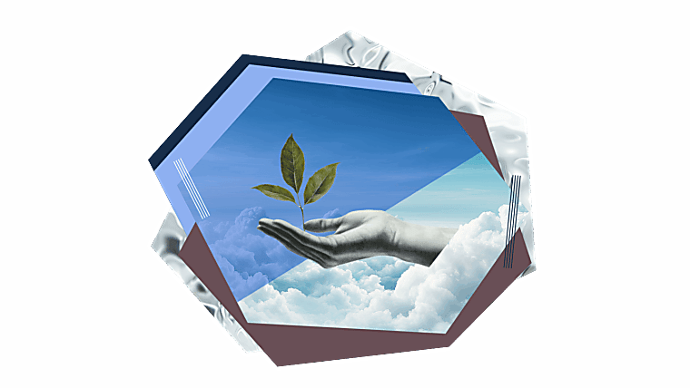 Seed investor’s guide to Bessemer - Bessemer Venture Partners
