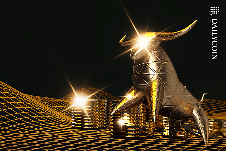 “Slow-Motion Lottery”: Bull Run Will Expose Investors Without a
Plan - DailyCoin
