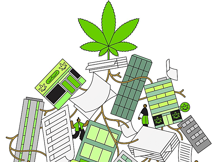 Social equity fund for New York cannabis market takes shape - Spectrum
News 1