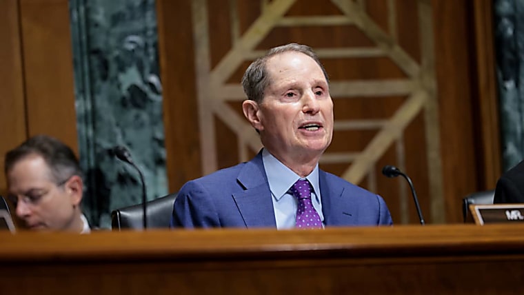 Tax loopholes are being exploited by the rich - here are the ones
Democrats aim to close