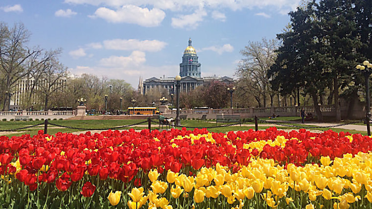 Colorado pension rebalances, opts for new manager relationships