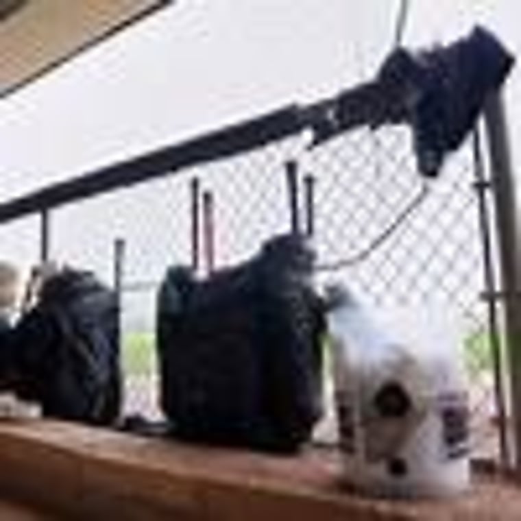 Congress weighs role of private equity in soaring youth sports costs
in US