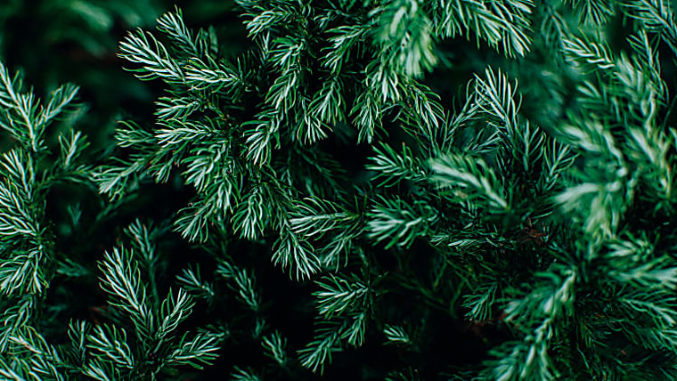 Evergreen secondary funds set to dominate private wealth marketplace