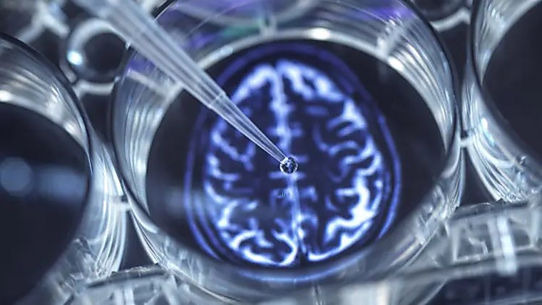 Jeito fundraise, EQT exit move billions in European biopharma