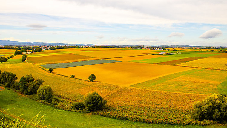 Lucerne hires farmland investment veteran