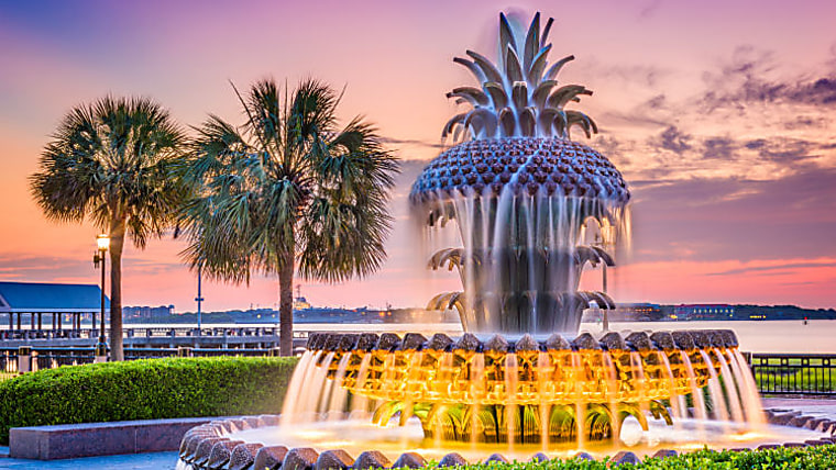 South Carolina pension grows PE, credit exposure by $575m