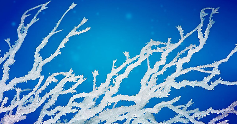 The Quant Renaissance Part III: Who's Ready for the Next Winter?