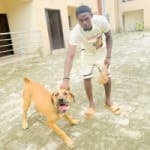 Kelvin bantee