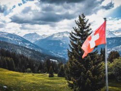 A High Bar: Swiss Family Office Seeks Proven Hedge Fund Manager