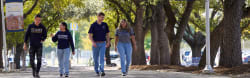 Alumnus creates venture capital firm focused on the Southwestern U.S. and Mexico - St. Mary's University | San Antonio, Texas
